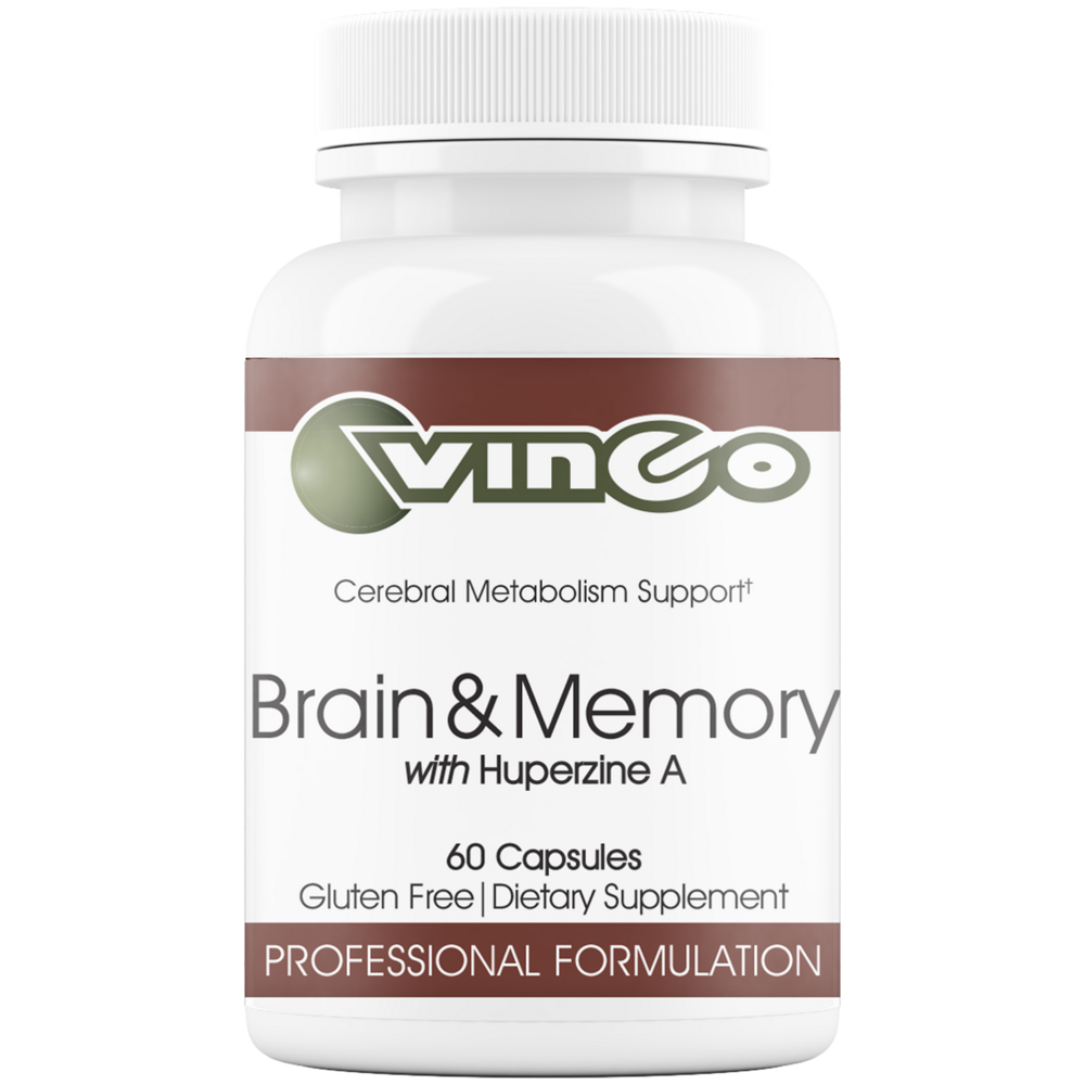 Brain & Memory by Vinco
