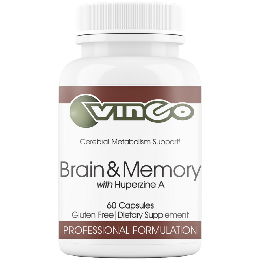 Brain & Memory by Vinco